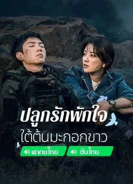 The White Olive Tree ปลูกรักพักใจ ใต้ต้นมะกอกขาว พากย์ไทย ซับไทย