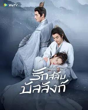 Destiny of Love รักสลับบัลลังก์ ซับไทย