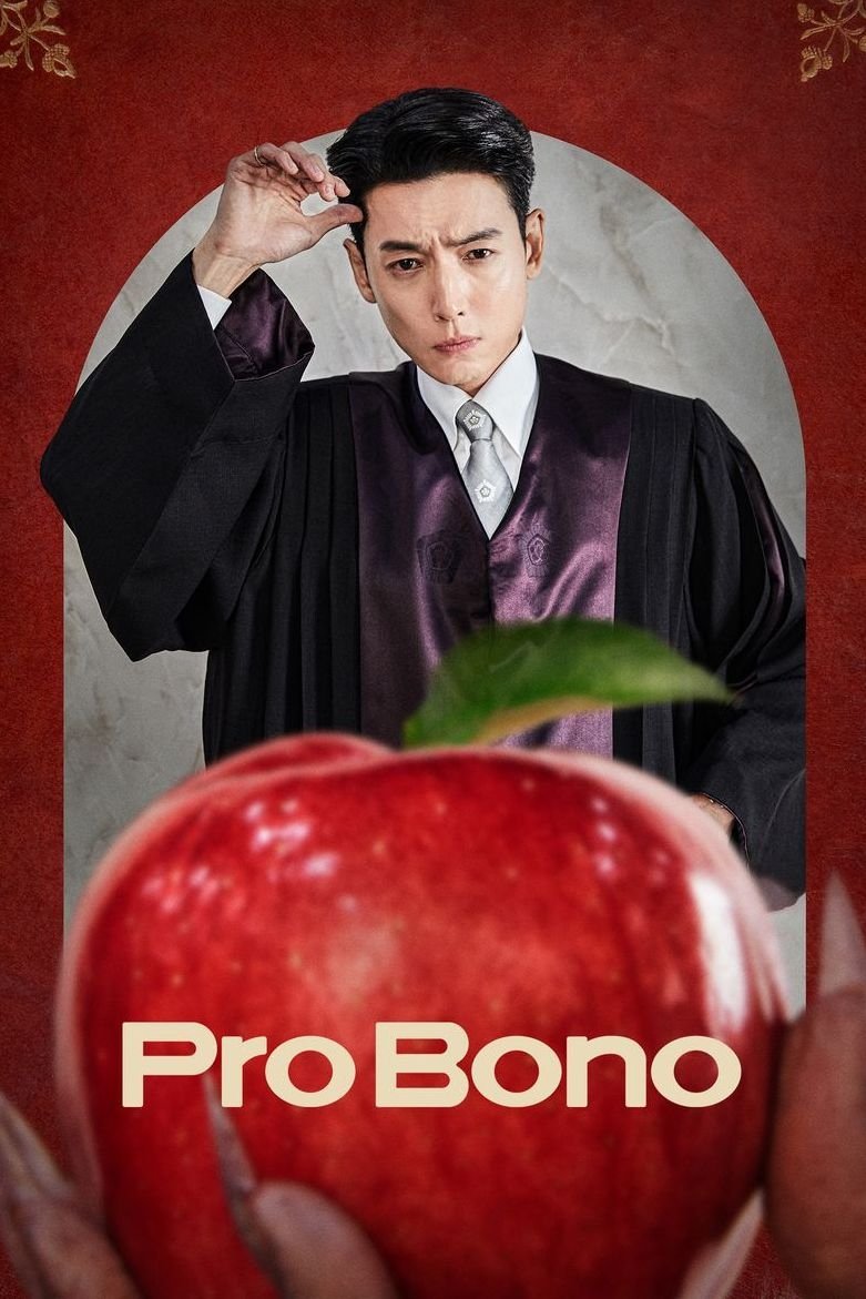Pro Bono (2025) สู้สุดใจทนายอาสา ซับไทย