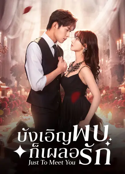 Just To Meet You บังเอิญพบก็เผลอรัก (2026) ซับไทย